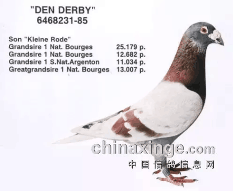 1490434257302298.png w.png