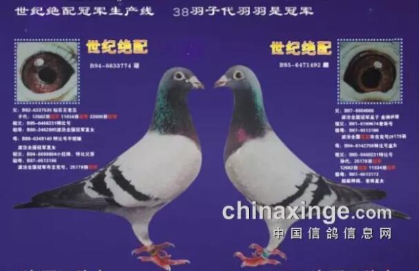 1490434287237449.jpg e.jpg