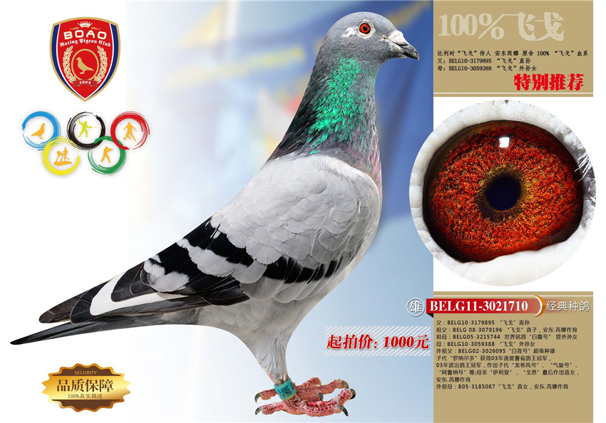 1491028018118272.jpg 710.jpg