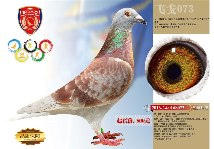 1491028300440473.jpg 073.jpg