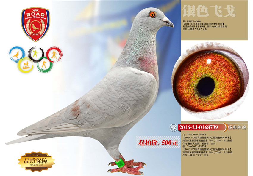 1491028527775949.jpg 739.jpg