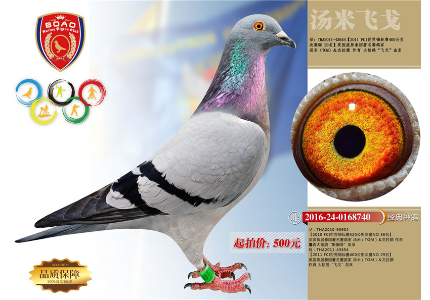 1491028680113173.jpg 740.jpg