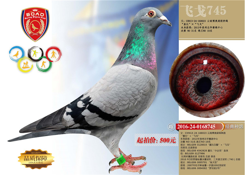 1491028828118105.jpg 745.jpg