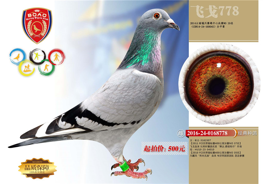 1491028972831589.jpg 778.jpg