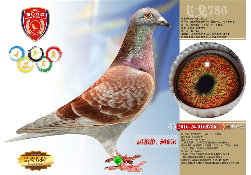 1491029197516510.jpg 786.jpg