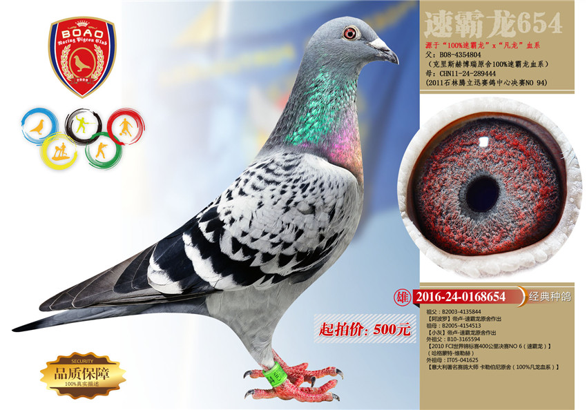 1491898274176989.jpg 1副本.jpg