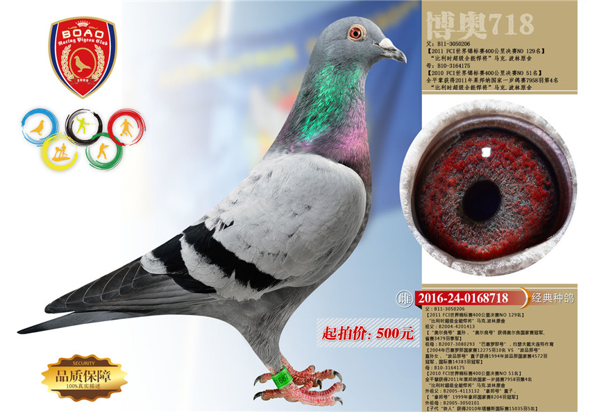 1491973432504461.jpg 55副本.jpg