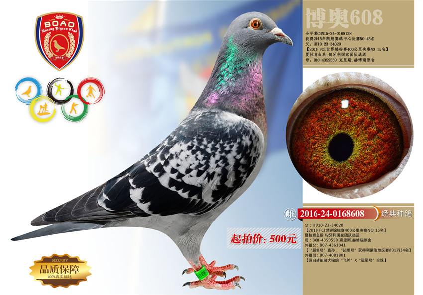 1491973517635063.jpg 56副本.jpg