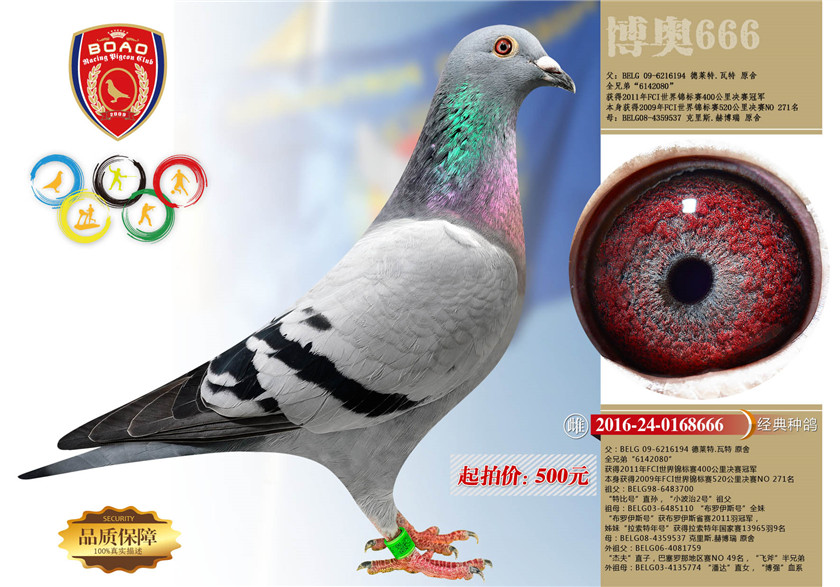 1492923237121095.jpg 21副本.jpg