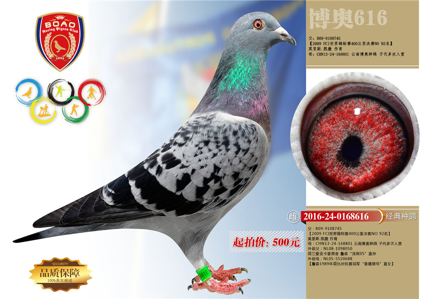 1492930113281212.jpg 616副本.jpg