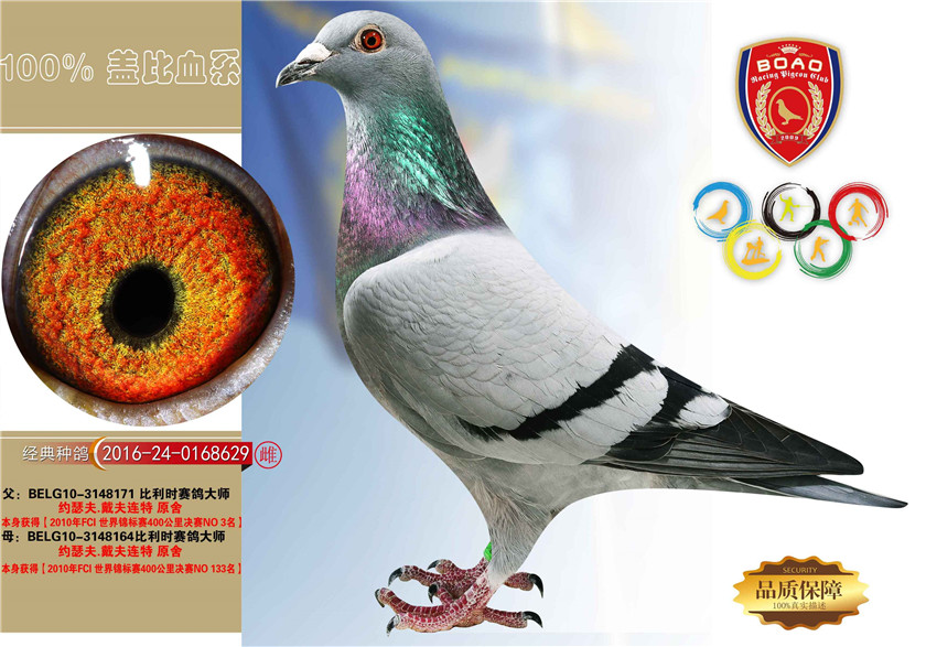 1492930939733476.jpg 629.jpg