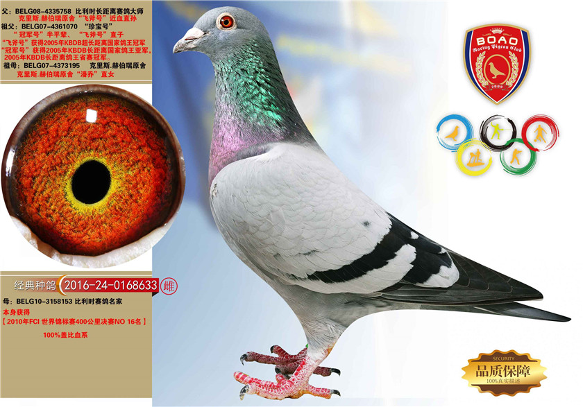 1492931014134005.jpg 633.jpg