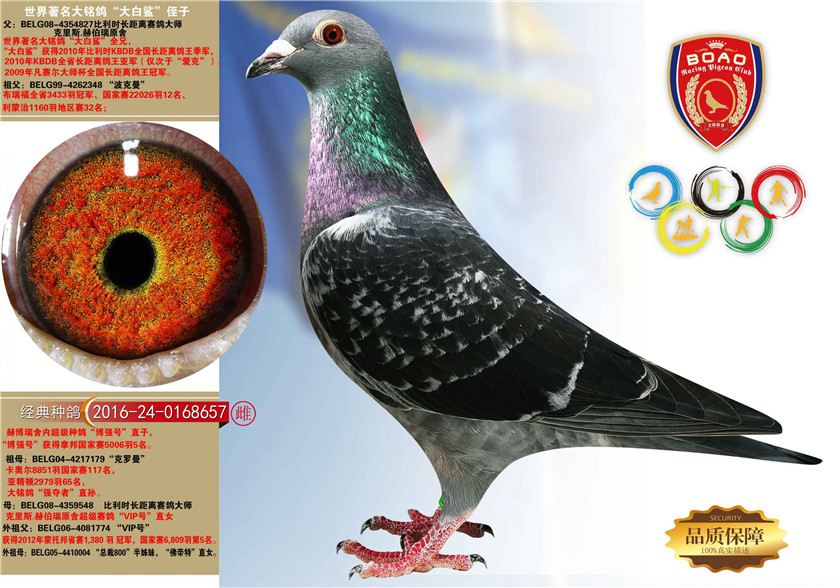 1492931106120910.jpg 657.jpg