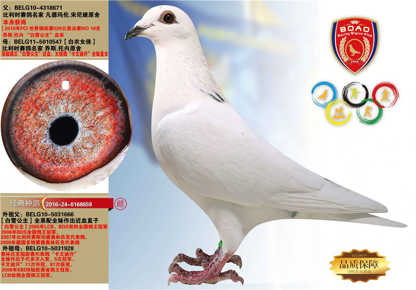 1492931262406220.jpg 659.jpg