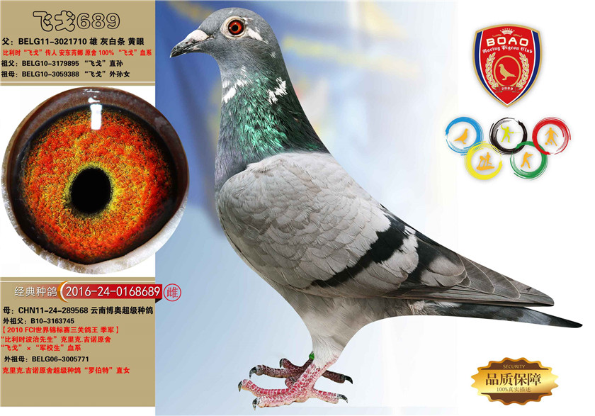 1492931340105763.jpg 689.jpg