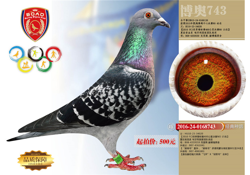 1493695675597152.jpg 7副本.jpg