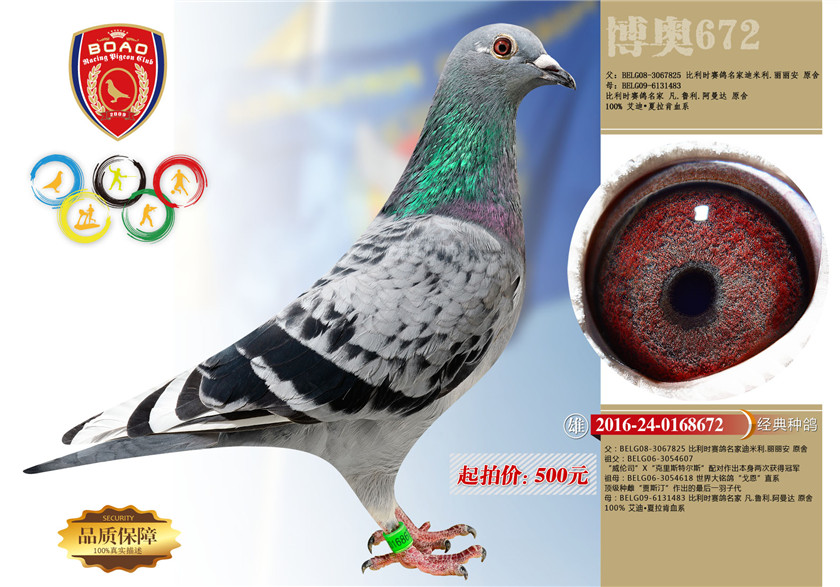 1493696185715747.jpg 24副本.jpg