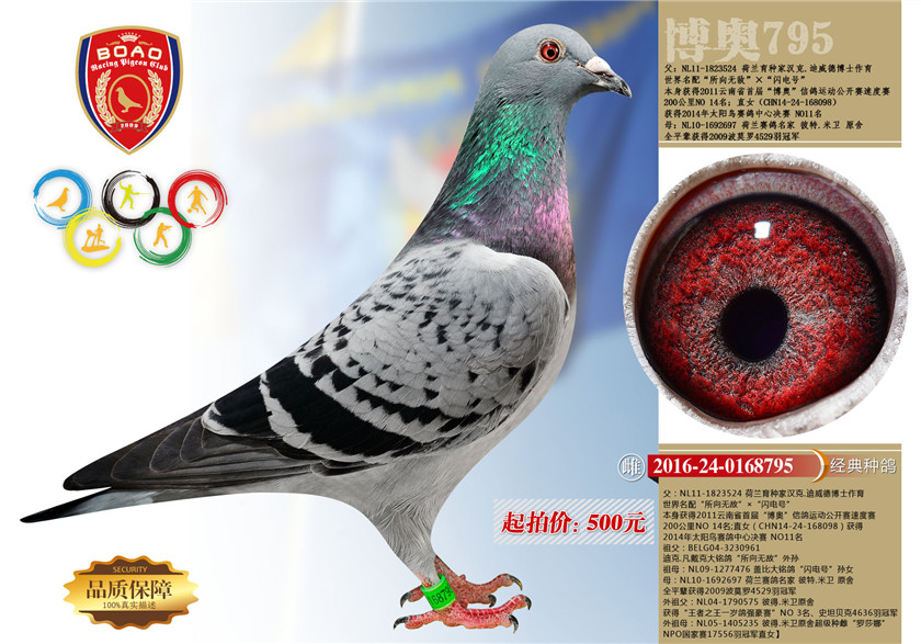 1493696305400410.jpg 25副本.jpg