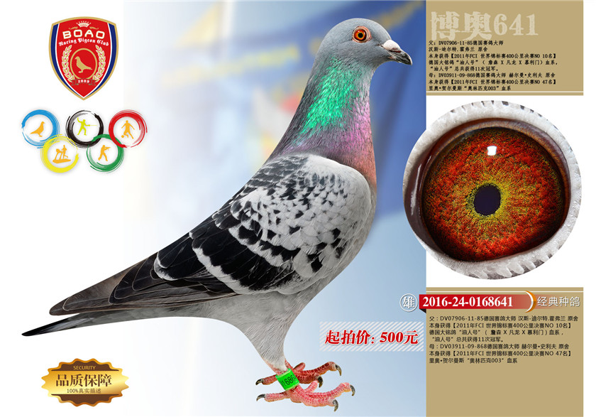 1493696760135433.jpg 30-副本.jpg