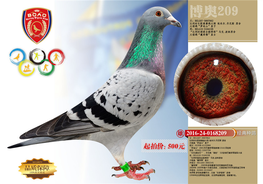 1494213432620346.jpg 209.jpg