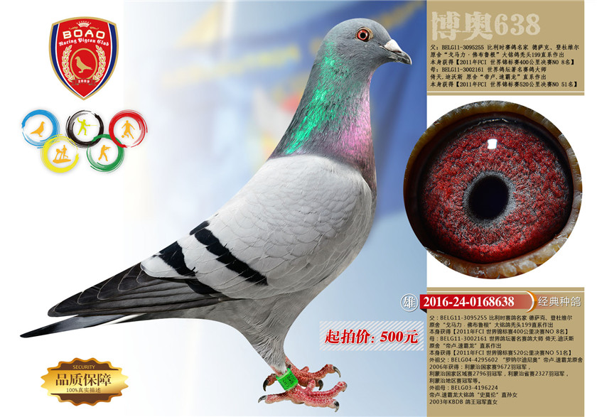 1494213717118845.jpg 638.jpg