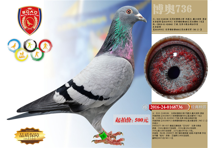 1494214233155215.jpg 736.jpg