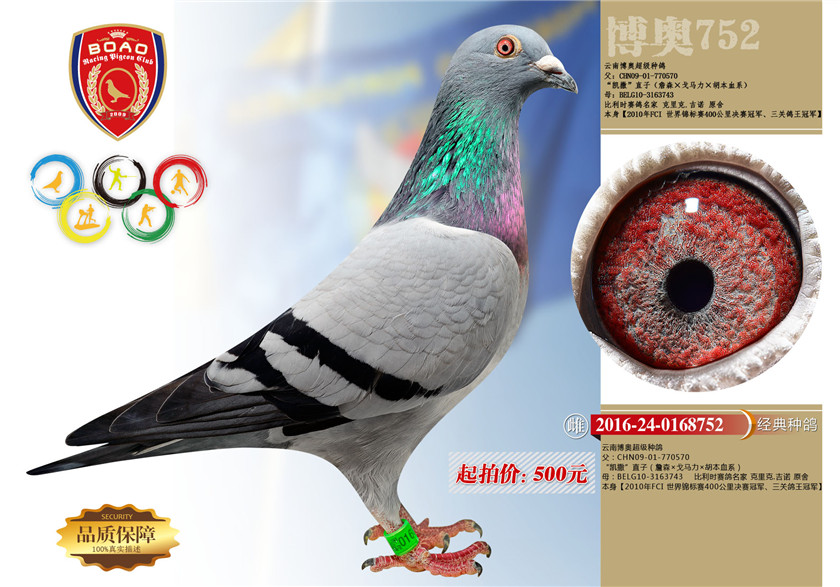 1494214429140111.jpg 752.jpg