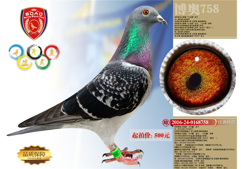 1494214494616215.jpg 758.jpg