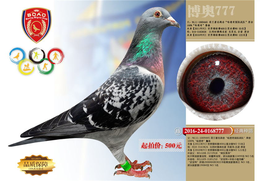 1494214662261332.jpg 777.jpg