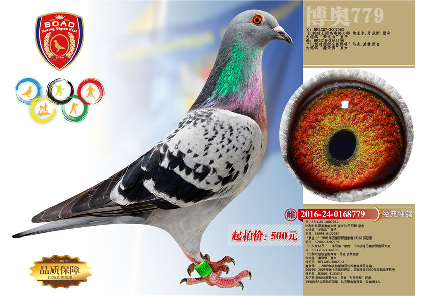 1494214742329795.jpg 779.jpg