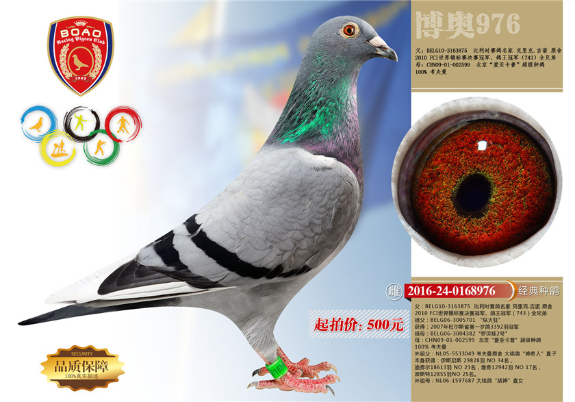 1494214905104395.jpg 976.jpg