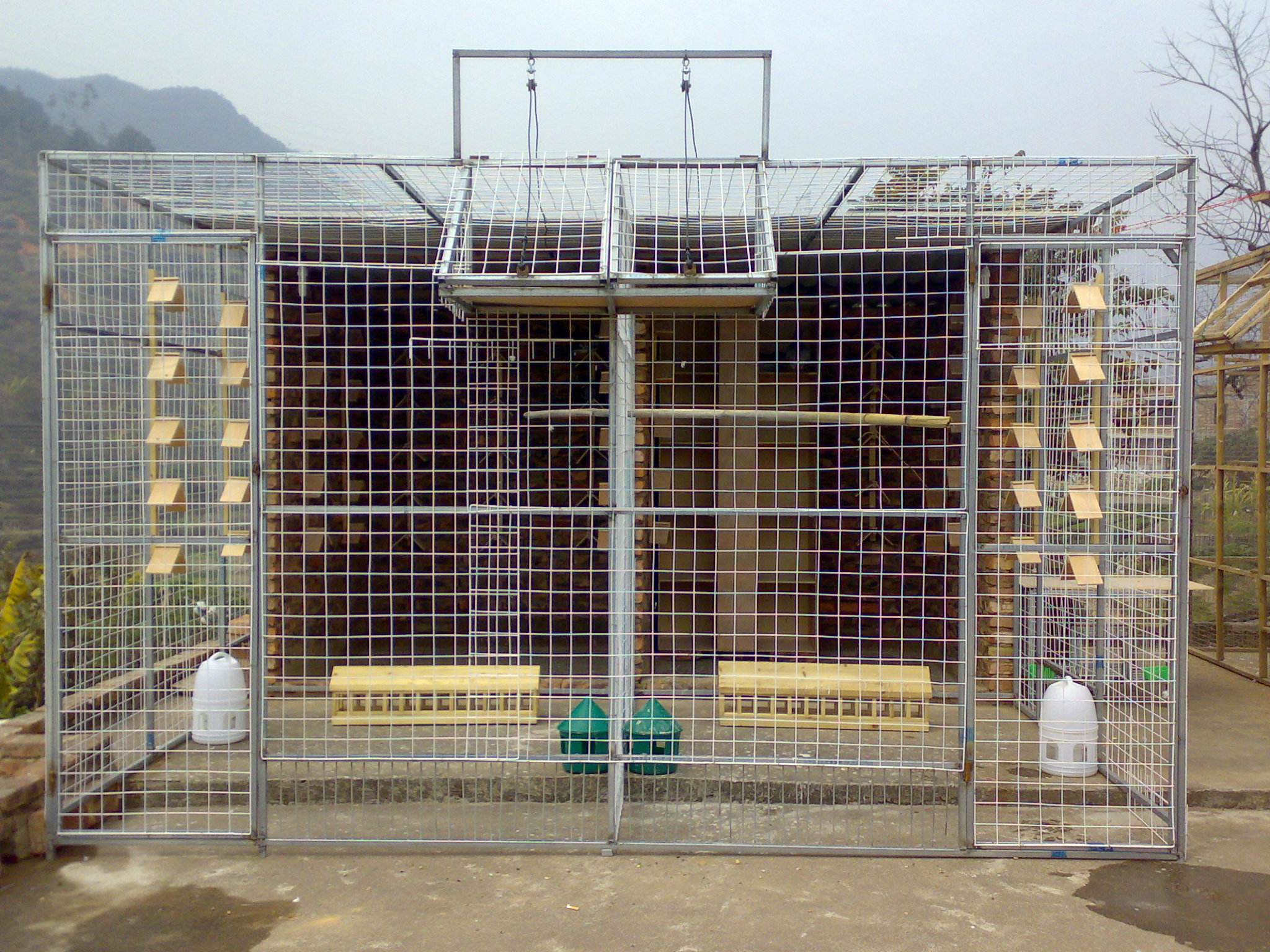 1495341245547794.jpg 12.jpg