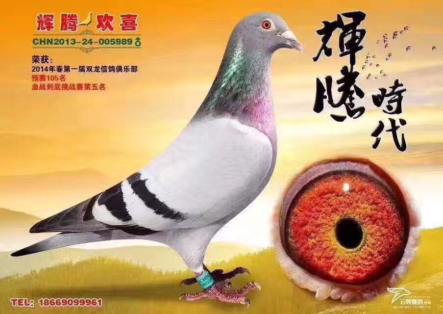 1496980201452694.jpg 989.JPG