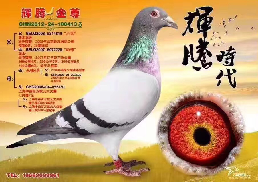 1496987184121061.jpg 413.JPG