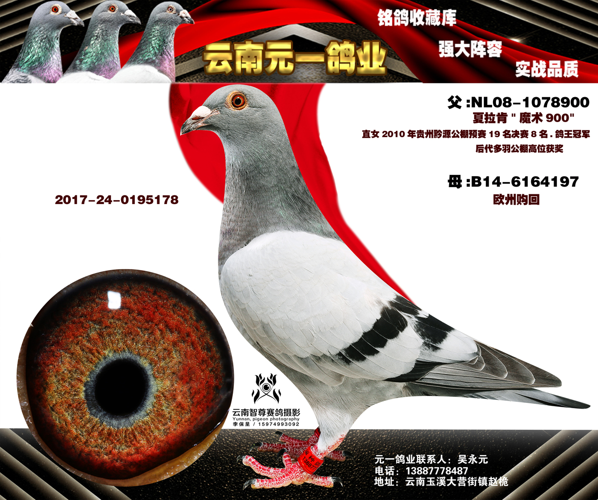 1498100959108444.jpg 1-2017-24-0195178副本.jpg