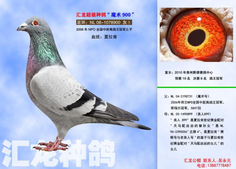 1498102425626456.jpg webwxgetmsgimg(1).jpg