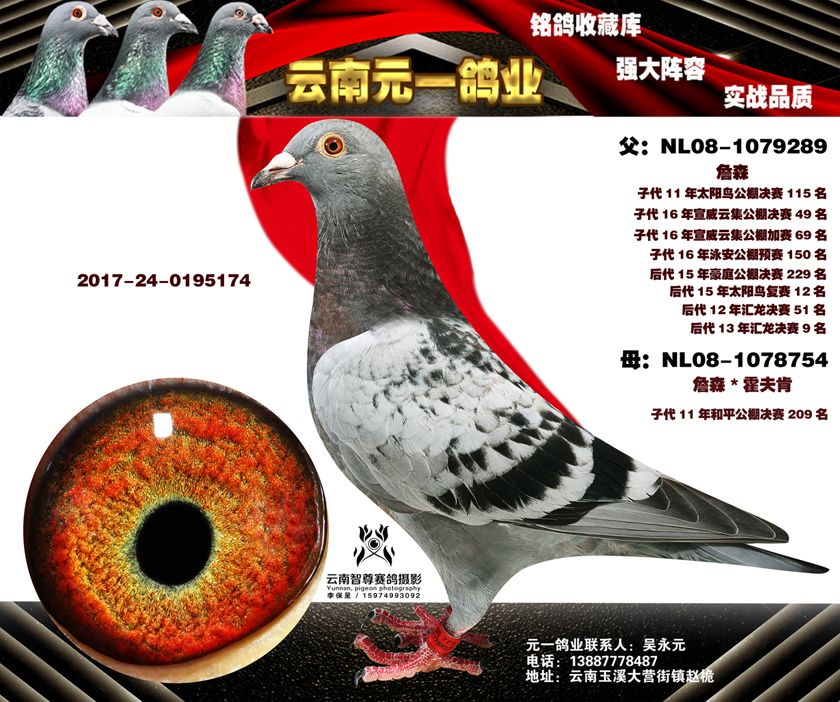 1498105974890930.jpg 6-2016-24-0195174副本.jpg