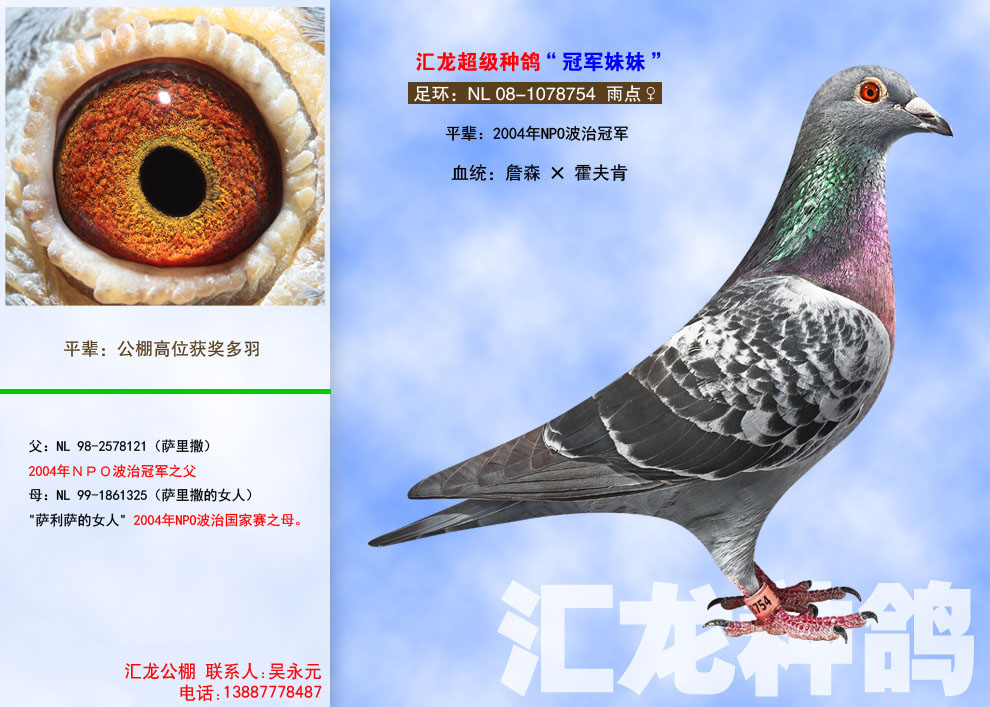 1498107266139672.jpg 6.2.jpg