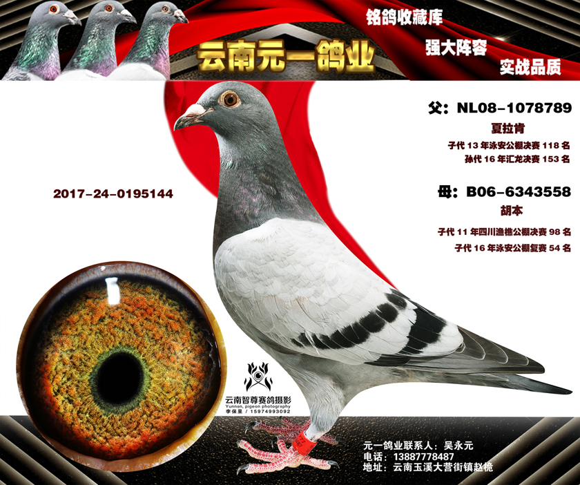 1498107392140438.jpg 7-2017-24-0195144副本.jpg