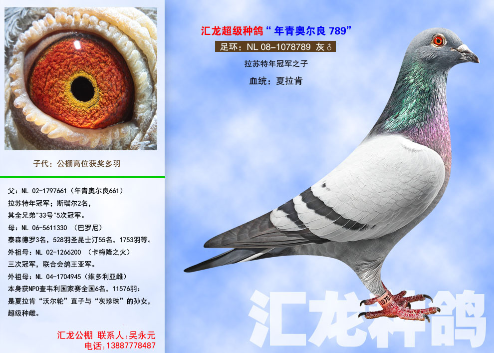 1498107608111972.jpg 7.1.jpg