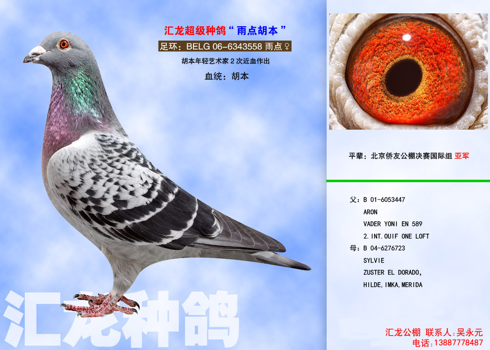 1498107619952164.jpg 7.2.jpg