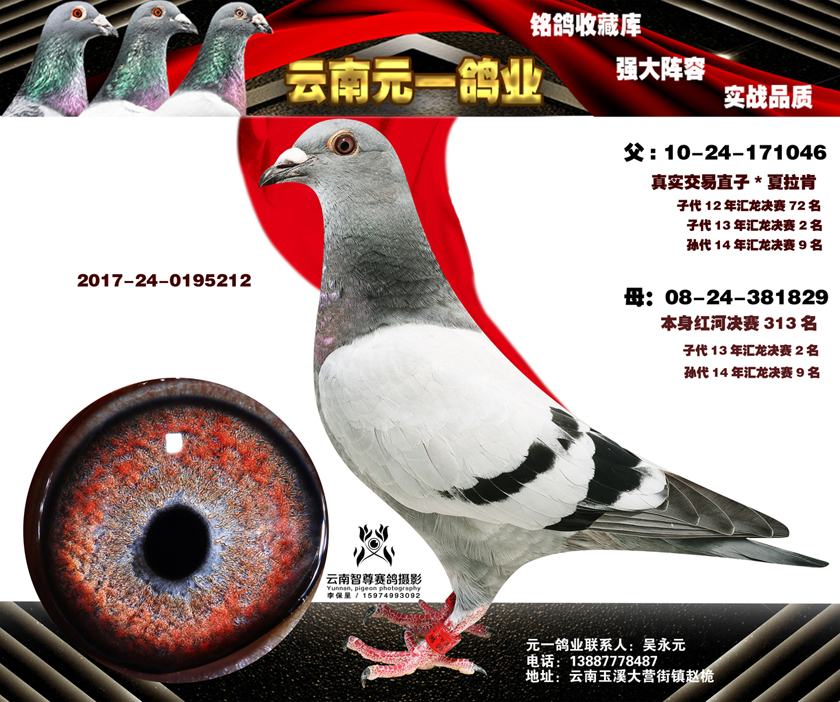 1498107893127412.jpg 8-2017-24-0195212副本.jpg