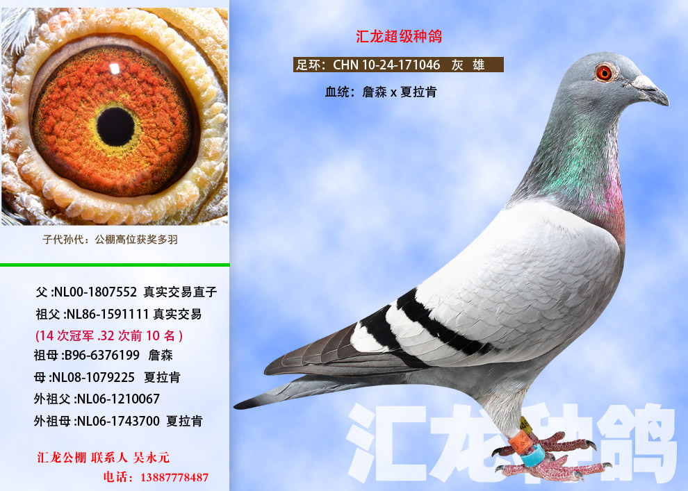 1498108176139547.jpg 8.1.jpg