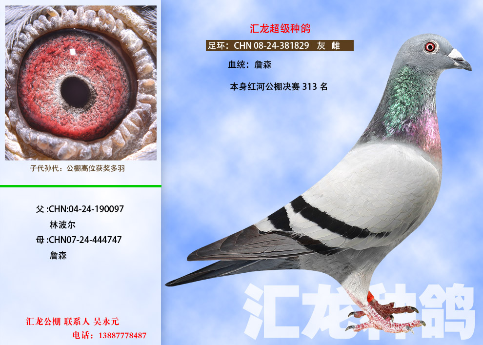 1498108184712907.jpg 8.2.jpg