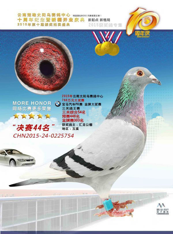 1498109935732400.jpg 12.0.jpg