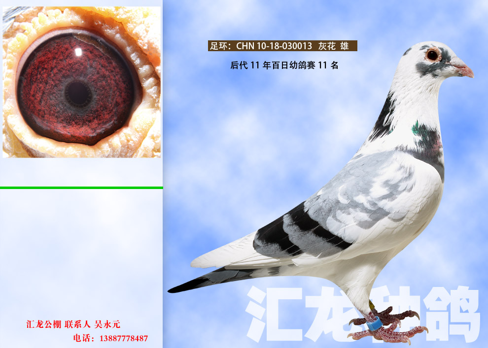 1498110149131823.jpg 0.1.jpg