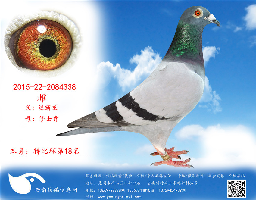 1499250736232242.jpg 338.jpg