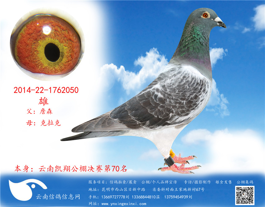 1499251068436170.jpg 050.jpg