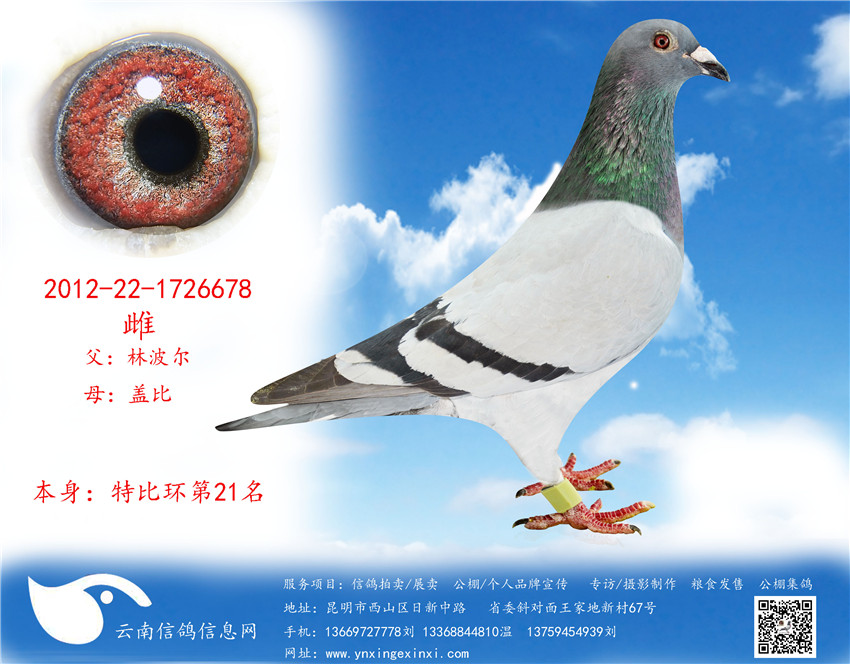 1499251444123712.jpg 678.jpg