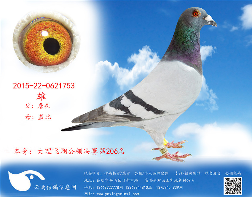 1499251502542114.jpg 753.jpg